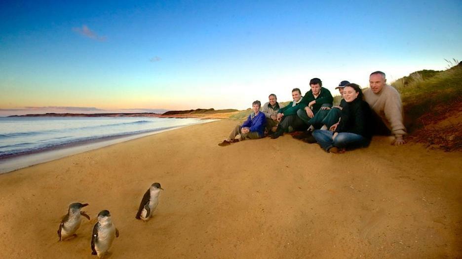 The Grampian Phillip Island Villa คาวเวส ภายนอก รูปภาพ