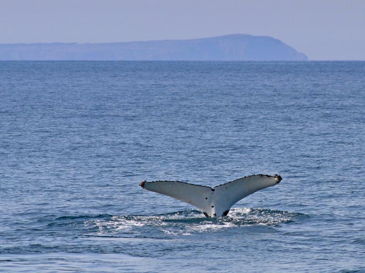 The Grampian Phillip Island Villa คาวเวส ภายนอก รูปภาพ