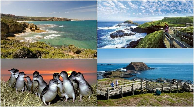 The Grampian Phillip Island Villa คาวเวส ภายนอก รูปภาพ