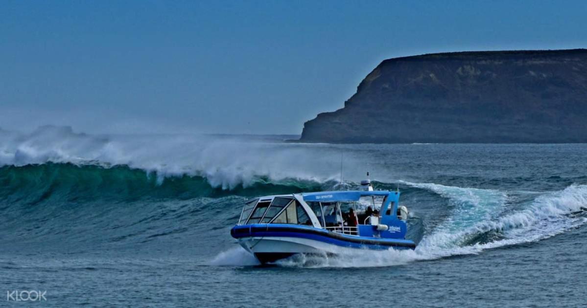 The Grampian Phillip Island Villa คาวเวส ภายนอก รูปภาพ