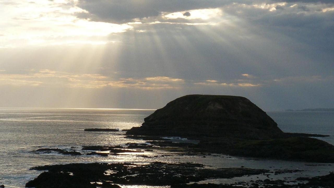 The Grampian Phillip Island Villa คาวเวส ภายนอก รูปภาพ